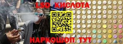 шишки Краснознаменск