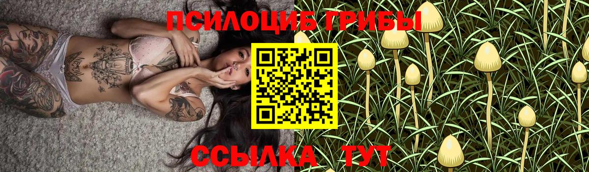 купить  сайты  Псилоцибиновые грибы мицелий  Вход с VPN  Галлюциногенные грибы мицелий  Кизляр 
