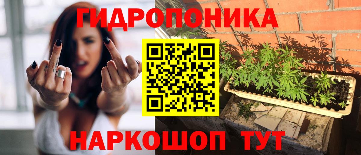 Бошки марихуана Amnesia  Бошки марихуана THC 21%  Вход с VPN  Кизляр  Бошки марихуана Amnesia 